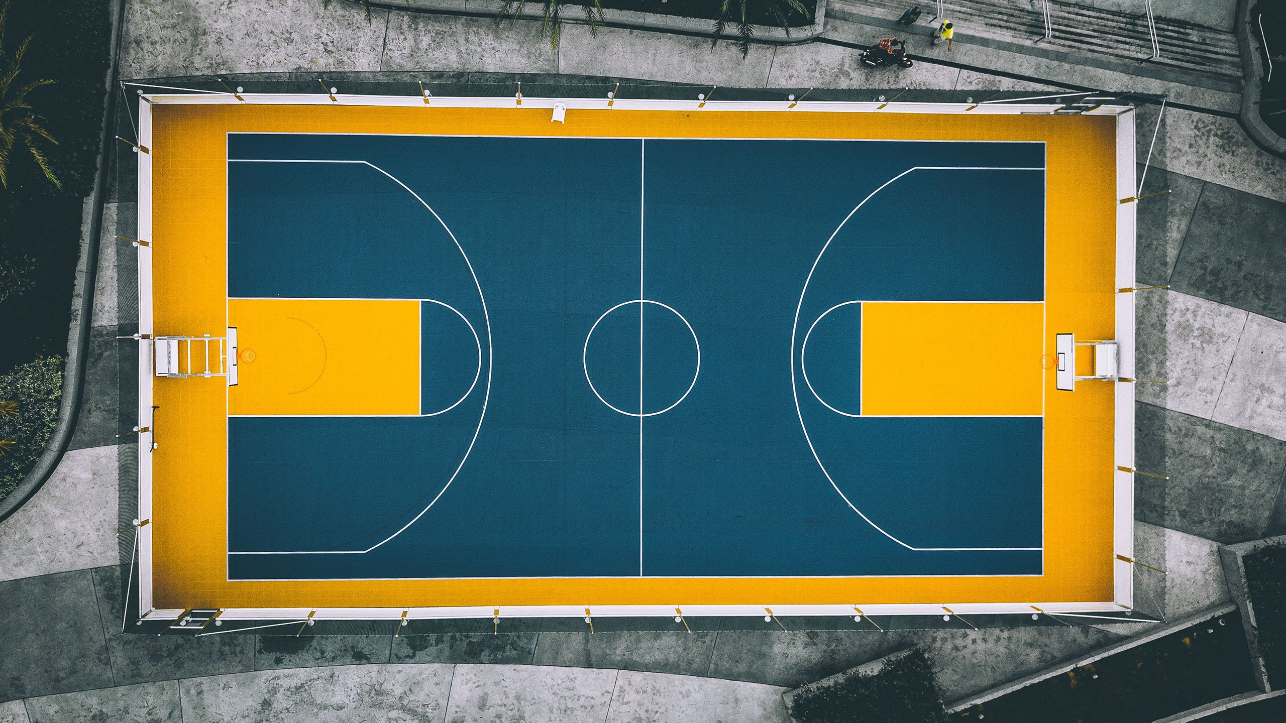 xingkong Sports (星空体育)-篮球明星公益跑活动促进全民健身，篮球公益活动宣传